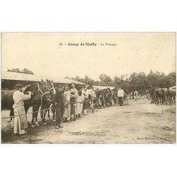 carte postale ancienne 10 MAILLY-LE-CAMP. Le Pansage des Chevaux