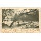 PARIS 16. Bois de Boulogne. Le Lac gelé en Hiver 1906