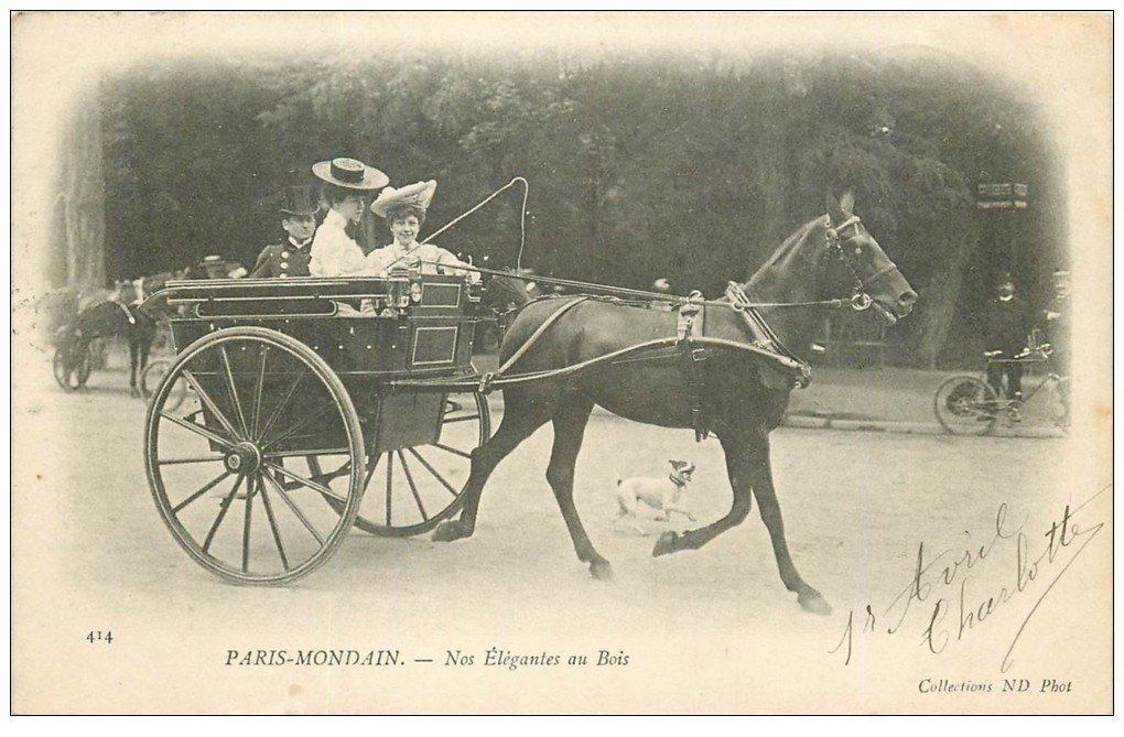 PARIS 16. Bois de Boulogne. Nos élégantes en Sulky 1903. Paris Mondain