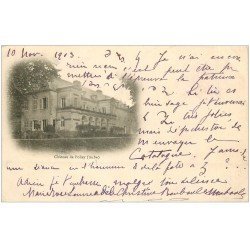 carte postale ancienne 10 POLISY. Le Château 1903