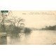 INONDATION ET CRUE DE PARIS 1910. Pont Neuf Vert Galant sous l'eau