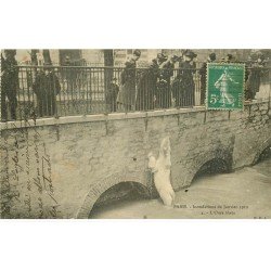 carte postale ancienne INONDATION ET CRUE DE PARIS 1910. Ours blanc au Jardin des Plantes