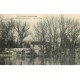 Inondations et Crue de 1910. NEUILLY LEVALLOIS 92. Ile de la Jatte