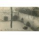 carte postale ancienne INONDATION ET CRUE PARIS 1910. L'Ours Martin au Jardin des Plantes