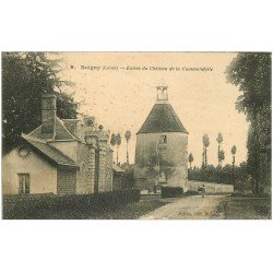 carte postale ancienne 45 BOIGNY. Château Commanderie jeune Lavandière