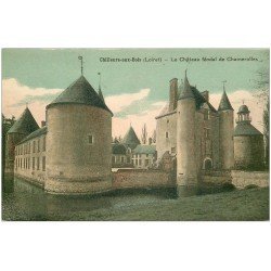 carte postale ancienne 45 CHILLEURS-AUX-BOIS. Château Chamerolles