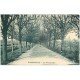 carte postale ancienne 10 VILLENAUXE. Les Promenades