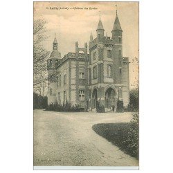 carte postale ancienne 45 LAILLY. Château des Bordes