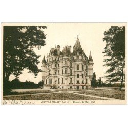 carte postale ancienne 45 LIGNY-LE-RIBAULT. Château de Bon-Hôtel
