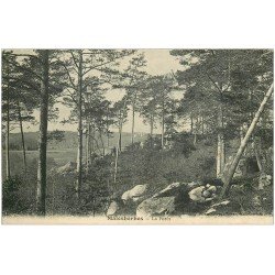 carte postale ancienne 45 MALESHERBES. La Forêt