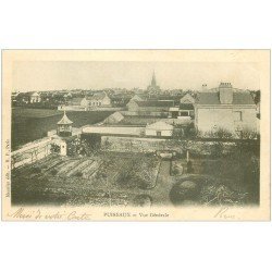 carte postale ancienne 45 PUISEAUX. Vue générale sur les jardins 1905 (timbre manquant)