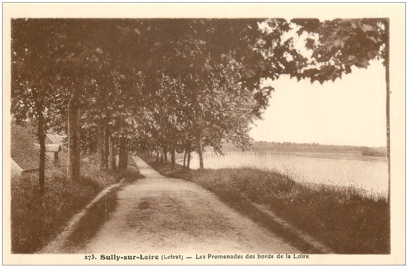 carte postale ancienne 45 SULLY-SUR-LOIRE. Les Promenades
