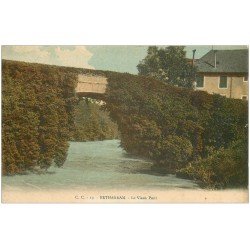 carte postale ancienne 64 BETHARRAM. Le Vieux Pont en fleur