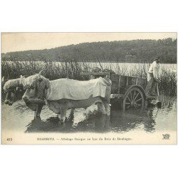 carte postale ancienne 64 BIARRITZ. Attelage Boeufs basques Lac du Bois de Boulogne