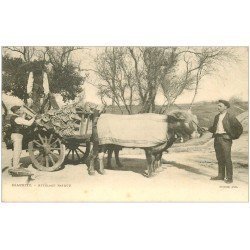 carte postale ancienne 64 BIARRITZ. Attelage Boeufs basques transport de tuiles vers 1900