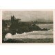 carte postale ancienne 64 BIARRITZ. Villa Belza. Carte phot émaillographie