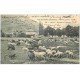 64 LARUNS. Pâtre et Moutons au pâturage 1905