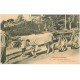 64 PAU. Attelage Béarnais de Boeuf porteurs de Bois