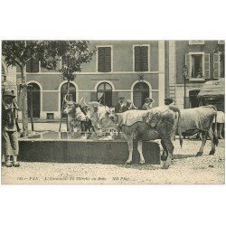 carte postale ancienne 64 PAU. Boeufs à l'Abreuvoir du Marché au Bois