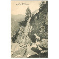 carte postale ancienne 64 PAYS BASQUE. La Chasse à l'Isard. Quelques blancs...