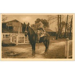 carte postale ancienne 64 PAYS BASQUE. Paysan propriétaire à Cheval Marchand de Bestiaux