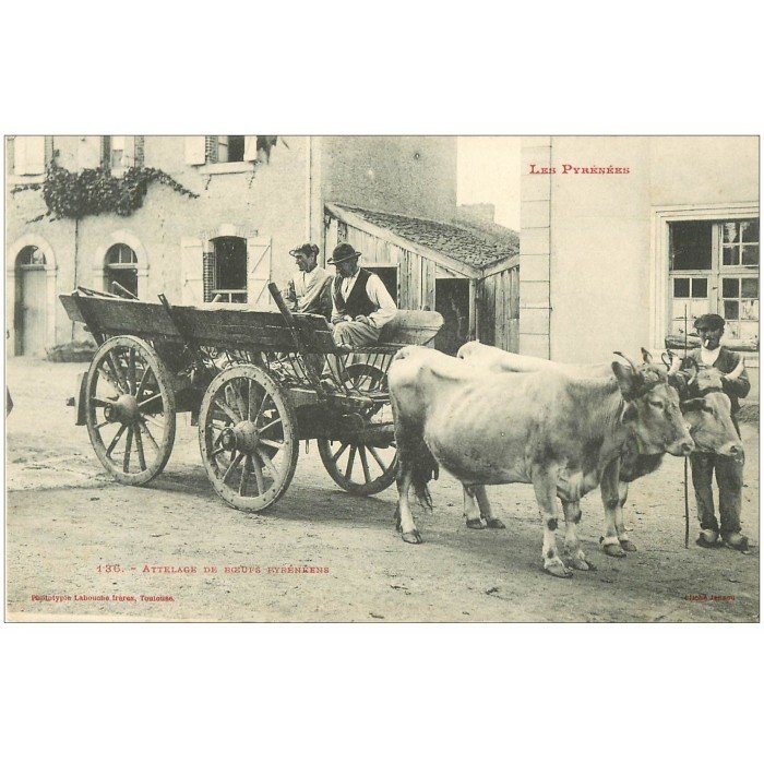 Attelages - ¤¤ - 452 - Agriculture - Nos Campagne - Attelage de Boeufs