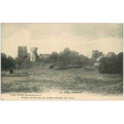 carte postale ancienne 64 PUYOO. Ruines Château Jeanne Albret