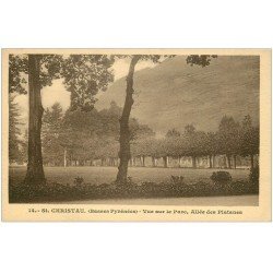 carte postale ancienne 64 SAINT-CHRISTAU. Allée des Platanes au Parc