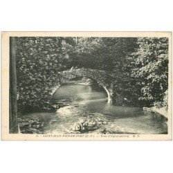 carte postale ancienne 64 SAINT-JEAN-PIED-DE-PORT. Pont d'Eyhéraberry animé n°5