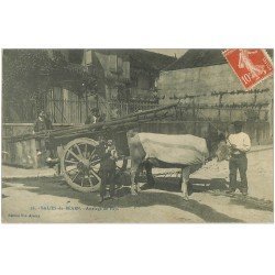 carte postale ancienne 64 SALIES-DE-BEARN. Attelage de Boeufs transport du Bois 1911 avec Chien