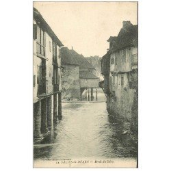 carte postale ancienne 64 SALIES-DE-BEARN. Bords du Saleys