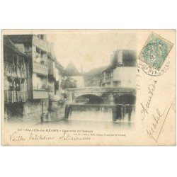 carte postale ancienne 64 SALIES-DE-BEARN. Cascade du Saleys et Habitations Salisiennes 1903