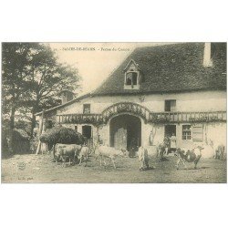 carte postale ancienne 64 SALIES-DE-BEARN. Ferme du Camou. Paysannes et Vaches