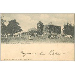 carte postale ancienne 64 SALIES-DE-BEARN. La Ferme de Bailleux vers 1900