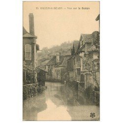 carte postale ancienne 64 SALIES-DE-BEARN. Vue sur le Saleys n°30