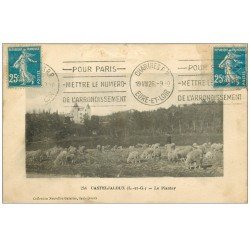 carte postale ancienne 47 CASTELJALOUX. Le Plantey 1926. Pâtre et Moutons