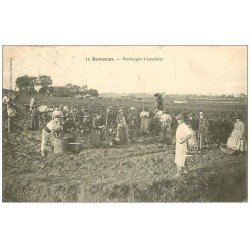 carte postale ancienne 47 DAMAZAN. Vendanges à Loustalet 1908. Vins, Vignes et Vignobles