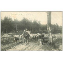 47 MARMANDE. La Rentrée au Bercail 1913. Pâtre et Moutons