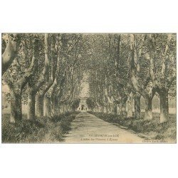 carte postale ancienne 47 VILLENEUVE-SUR-LOT. Allée des Platanes à Eysses 1922