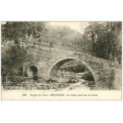 carte postale ancienne 48 MEYRUEIS. Pont sur la Jonte