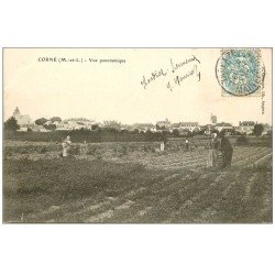carte postale ancienne 49 CORNE. Paysan dans les Champs 1905. La récolte des Patates