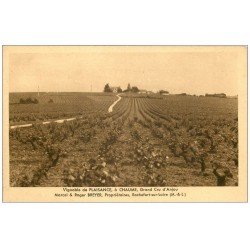 carte postale ancienne 49 ROCHEFORT-SUR-LOIRE. Vignoble de Plaisance à Chaume. Grand Cru d'Anjou