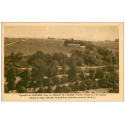 carte postale ancienne 49 ROCHEFORT-SUR-LOIRE. Vignoble de Suronde. Clos des Quarts de Chaume. Premier Cru d'Anjou