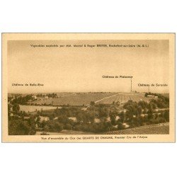carte postale ancienne 49 ROCHEFORT-SUR-LOIRE. Vignobles Breyer. Clos des Quarts de Chaume. Premier Cru d'Anjou
