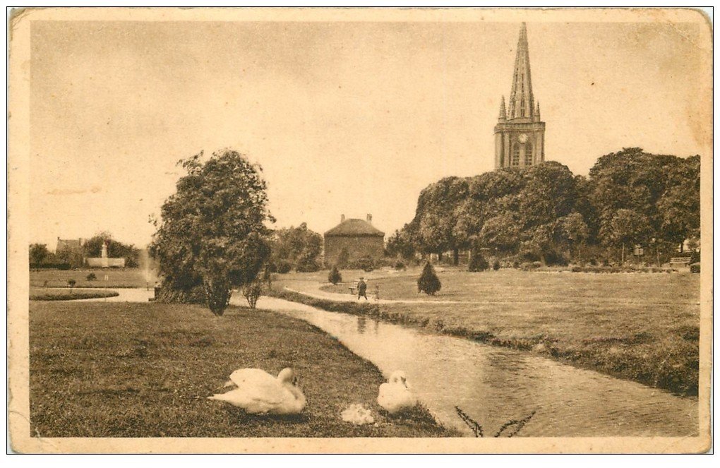 carte postale ancienne 59 HAZEBROUCK. Cygnes au Jardin Pubic 1954