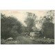 carte postale ancienne 50 CAROLLES. Fond Vallée des Peintres