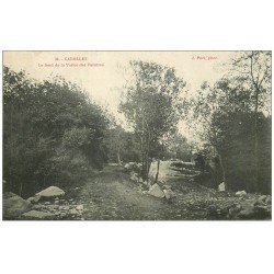 carte postale ancienne 50 CAROLLES. Fond Vallée des Peintres