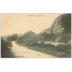 carte postale ancienne 50 CAROLLES. Le Pignon Butor avec Train. Timbre Taxe 1910
