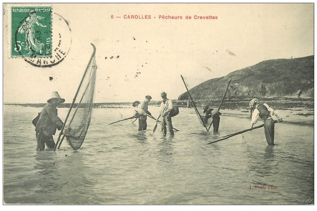 carte postale ancienne 50 CAROLLES. Pêcheurs de Crevettes 1909. Métiers de la Mer