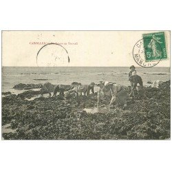 carte postale ancienne 50 CAROLLES. Pêcheurs de Crustacés au travail 1914